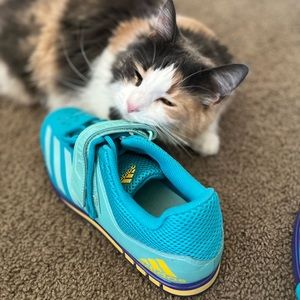 Adidas Powerlift Weightlifting Shoes